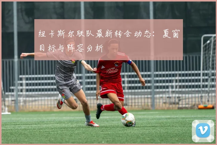 纽卡斯尔联队最新转会动态：夏窗目标与阵容分析