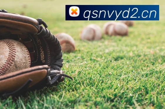 爱游戏app体育官方网站服务体系